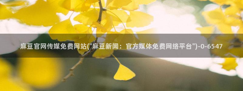 麻豆日记传媒官网：麻豆官网传媒免费网站(\