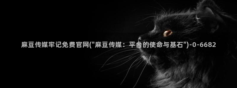 麻豆传媒官网是哪个