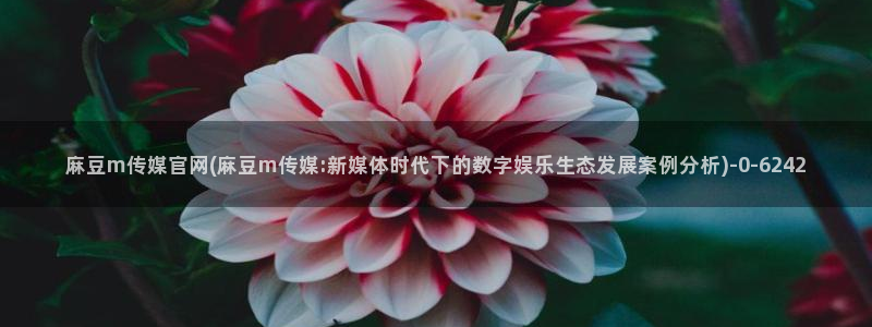 麻豆传媒官网app污：麻豆m传媒官网(麻豆m传媒:新媒体时代下的数字娱乐生态发展案例分析)