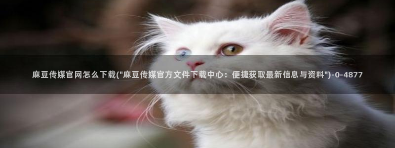 台湾麻豆映像传媒官网