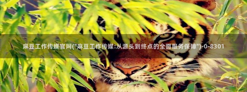 麻豆啊传媒官网黄色：麻豆工作传媒官网(\