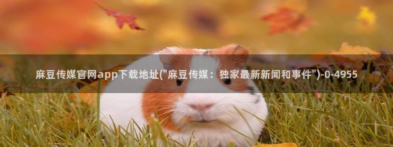 mbpub麻豆传媒官网：麻豆传媒官网app下载地址(\