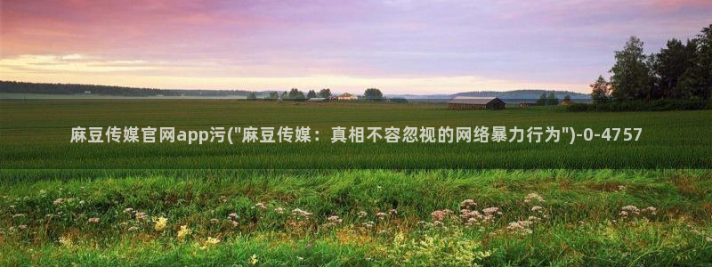 麻豆官网传媒在线观看：麻豆传媒官网app污(\