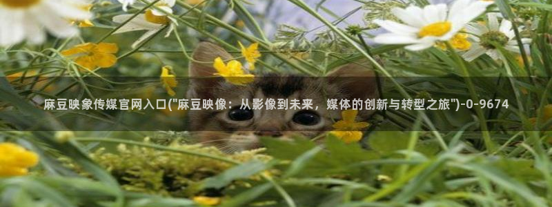 麻豆传媒官网社区：麻豆映象传媒官网入口(\