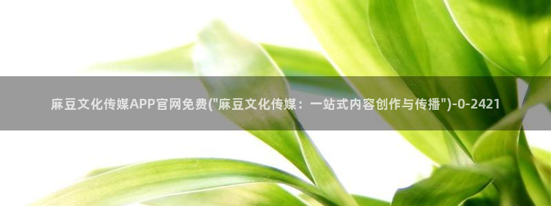 麻豆直播官网传媒
