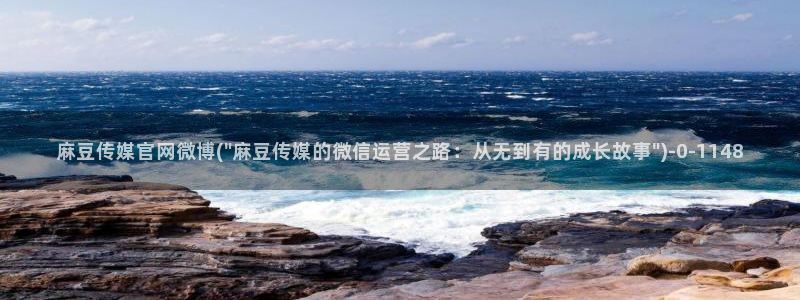 麻豆传媒映画 官网