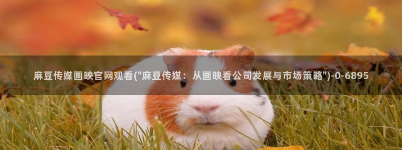 麻豆台湾传媒官网：麻豆传媒画映官网观看(\