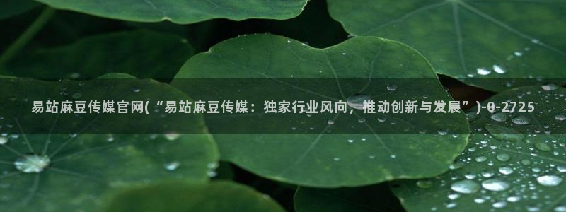 麻豆床传媒官网免费视频：易站麻豆传媒官网(“易站麻豆传媒：独家行业风向，推动创新与发展”)