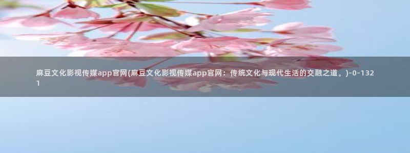 麻豆传媒在线直播官网