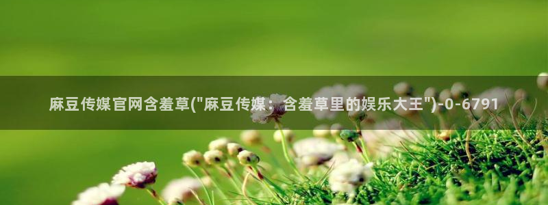 麻豆视传媒官网