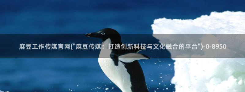 麻豆自制传媒官网多少