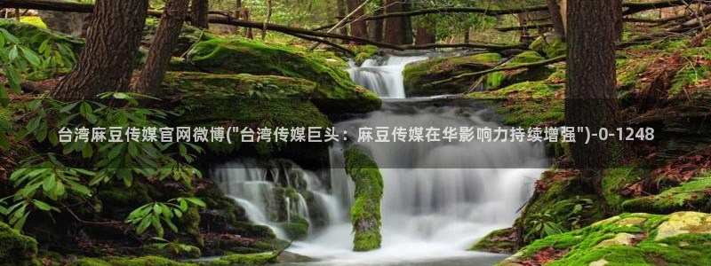 麻豆映象传媒官网