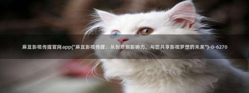 麻豆传媒映像官网