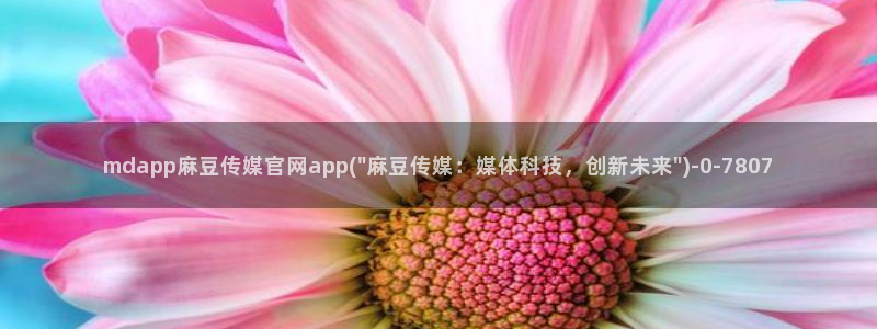 麻豆视传媒官网进入