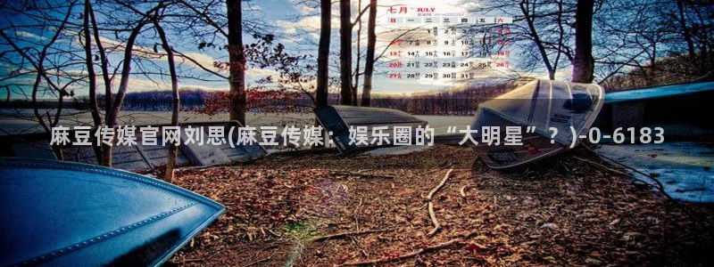 麻豆传媒直播官网污