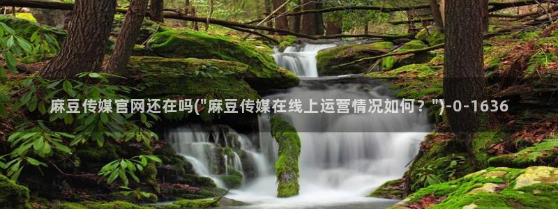 麻豆村传媒官网