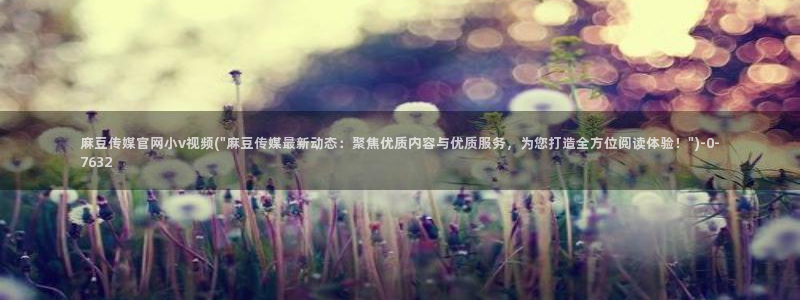 麻豆影视传媒官网黄
